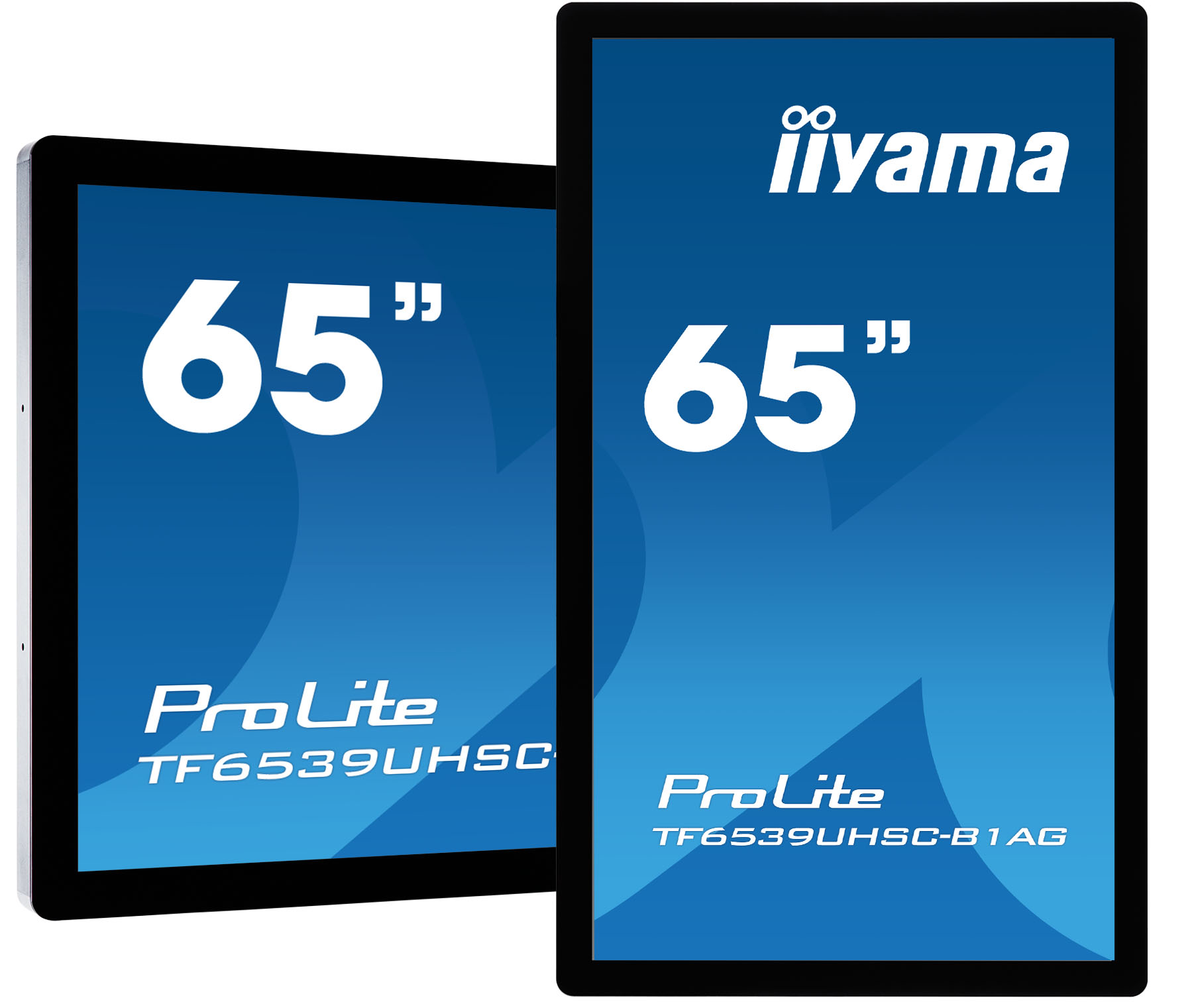 iiyama prolite 65